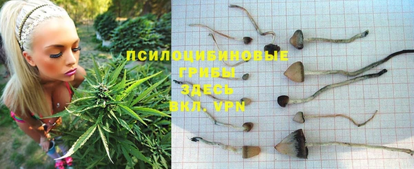 мет Михайлов