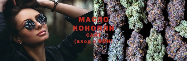 мдпв Михайловск