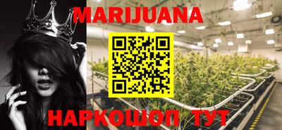 прущие крисы Гусев