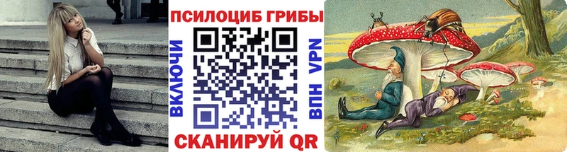 blacksprut рабочий сайт Рязань Галлюциногенные грибы прущие грибы