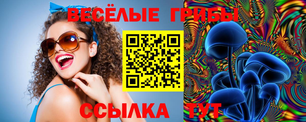 Галлюциногенные грибы Psilocybe  Вход с VPN  Рязань  дарнет шоп  Галлюциногенные грибы GOLDEN TEACHER 