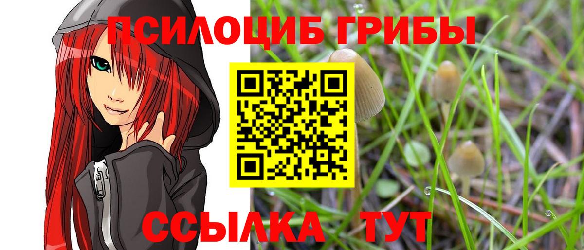 Галлюциногенные грибы Magic Shrooms Рязань